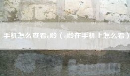 手机怎么查看q龄（q龄在手机上怎么看）