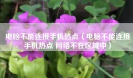 电脑不能连接手机热点（电脑不能连接手机热点 网络不在区域中）