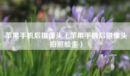 苹果手机后摄像头（苹果手机后摄像头拍照脸歪）