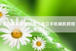 金立手机刷机教程（金立手机刷机教程免费）