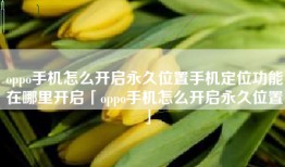 oppo手机怎么开启永久位置手机定位功能在哪里开启「oppo手机怎么开启永久位置」