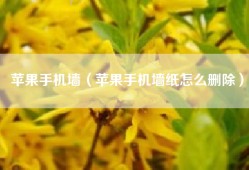 苹果手机墙（苹果手机墙纸怎么删除）