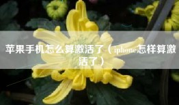 苹果手机怎么算激活了（iphone怎样算激活了）