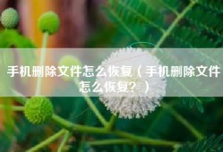 手机删除文件怎么恢复（手机删除文件怎么恢复？）