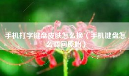 手机打字键盘皮肤怎么换（手机键盘怎么调回原始）