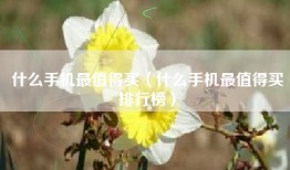 什么手机最值得买（什么手机最值得买排行榜）