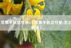 苹果手机信号是e（苹果手机信号是e怎么解决）