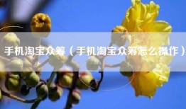 手机淘宝众筹（手机淘宝众筹怎么操作）