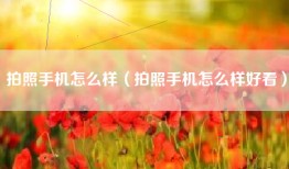 拍照手机怎么样（拍照手机怎么样好看）