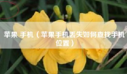 苹果 手机（苹果手机丢失如何查找手机位置）