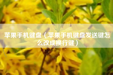 苹果手机键盘（苹果手机键盘发送键怎么改成换行键）