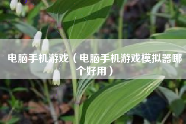 电脑手机游戏（电脑手机游戏模拟器哪个好用）