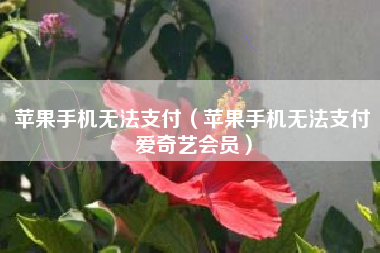 苹果手机无法支付（苹果手机无法支付爱奇艺会员）