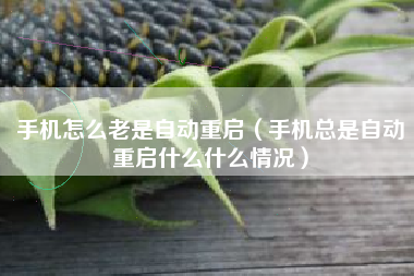 手机怎么老是自动重启（手机总是自动重启什么什么情况）